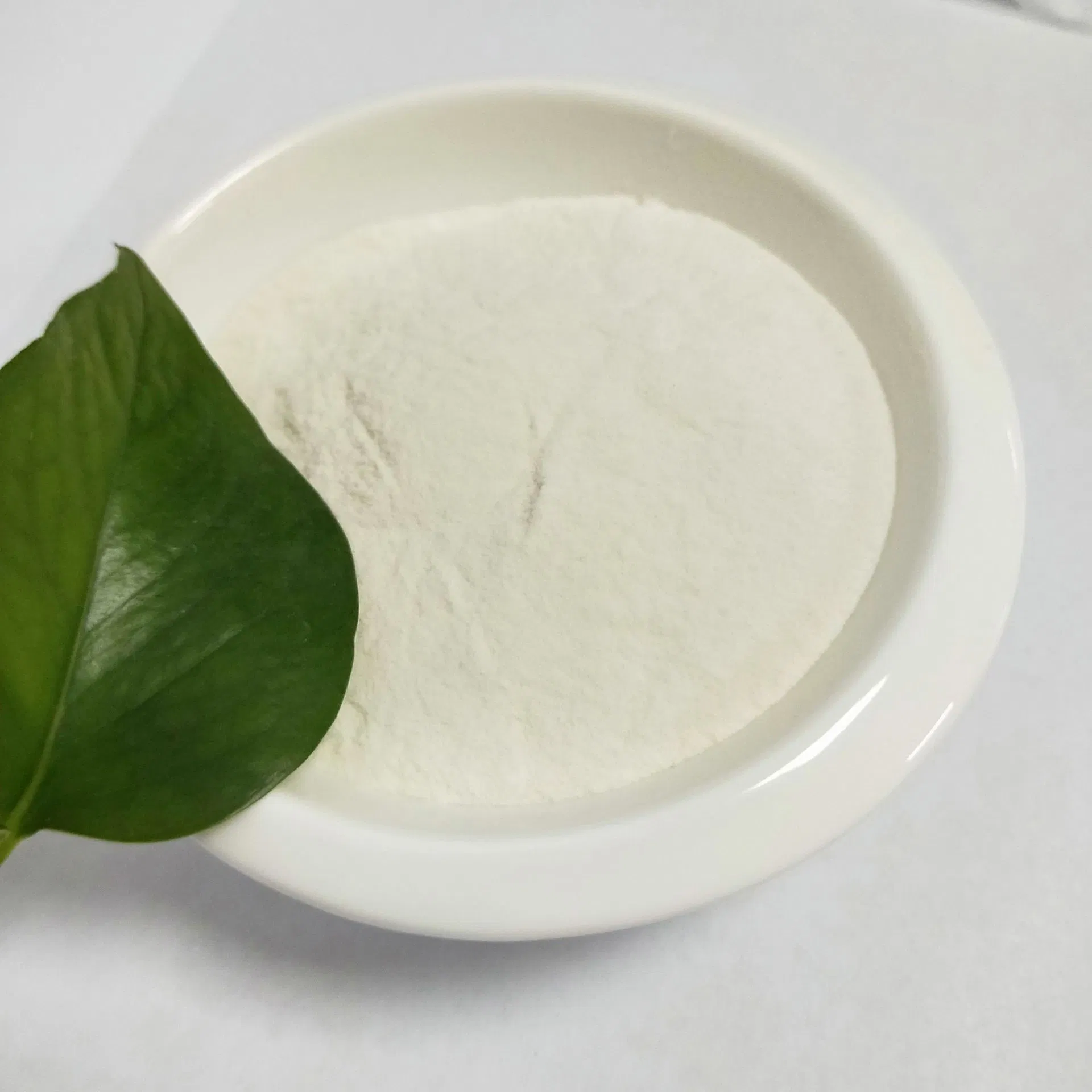 High Quality Hydroxypropyl Methyl Cellulose (HPMC) Detergent Thickener Molecular Sieve Adsorbent for Cleaning Detergent Products