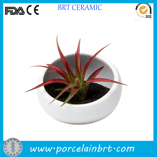 New Design Mini Ceramic Flower Pot for Home Decoration