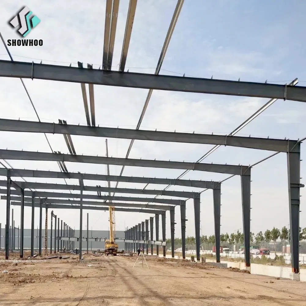 High Quality New Design Commercial and Industrial Prefabricated Storage Shed Warehouse Building