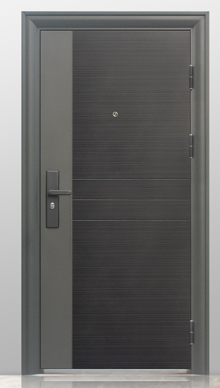 Premium Photos of Elegant Steel Door Designs for Homes