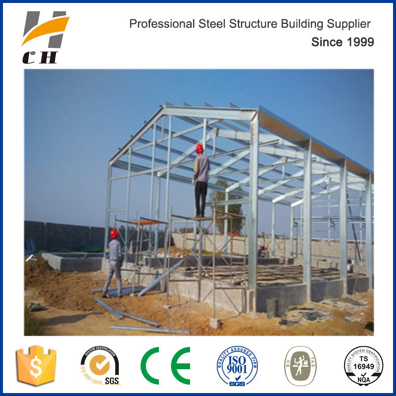 Light Shed Steel Roof Layer Chicken House Design