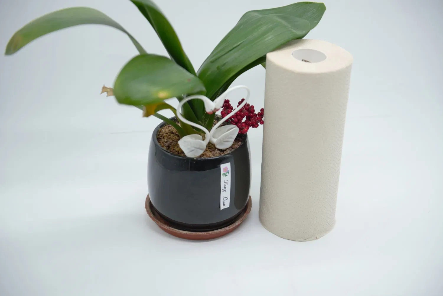 Bamboo Pulp 2 Ply Kitchen Paper Strong Jumbo Roll