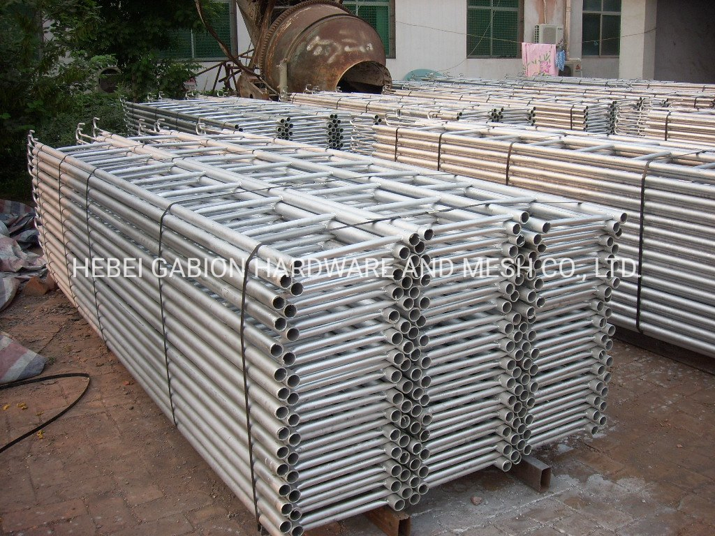 Hot Dipped Galvanized Ladder Use for Singapore