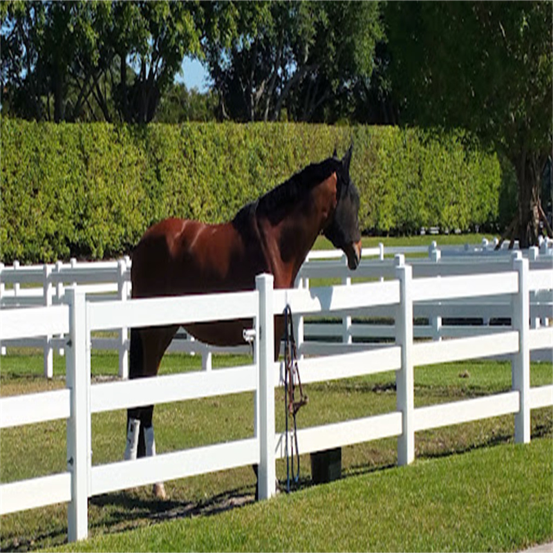 Foundry Goat Fence Horse Fence