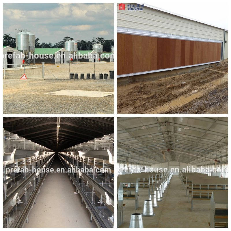 Steel Frame Farm Building From China