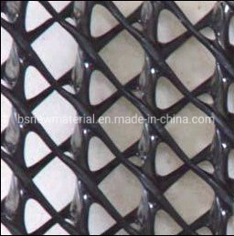 HDPE Plastic Geonet for Drainage