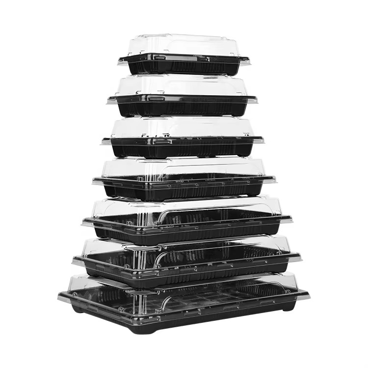 PET Round Rectangle Food Container for Sushi Fruit Snack