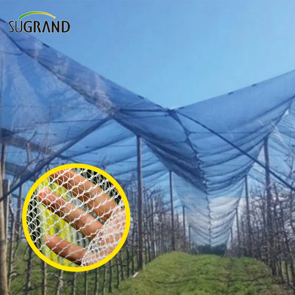China Manufactory Hail Netting for Gardens Wholesale Anti Hail Net for Apple Tree Hail Protection for Garden Hail Netting for Vineyards