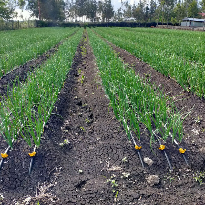 Customized 16mm Adjustable Agriculture Flat Emitter Pipe Farm System Irrigation Drip Tape