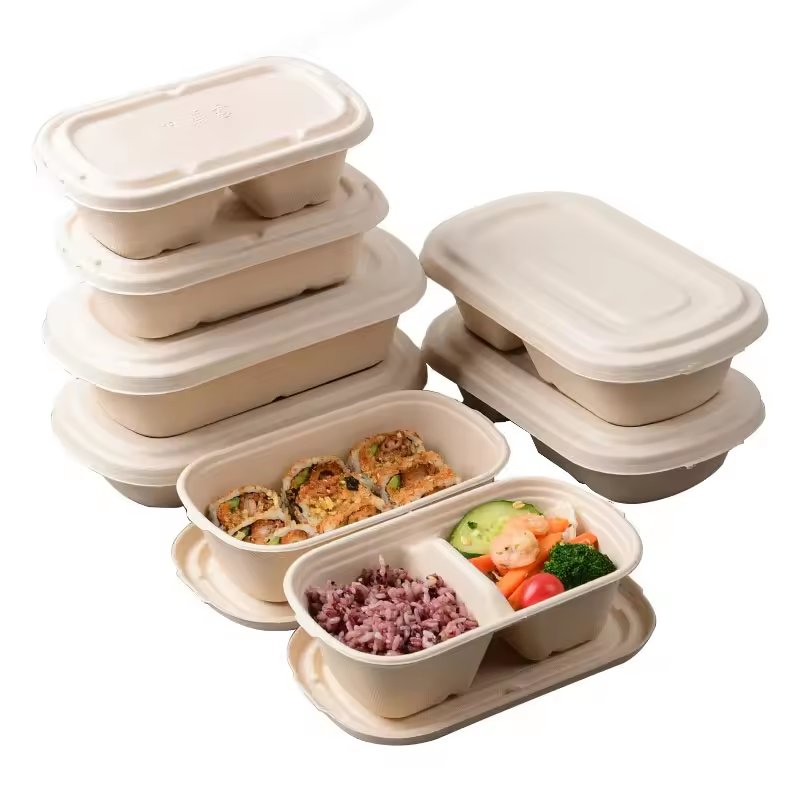 Sugarcane Fiber Container Disposable Biodegradable Paper Takeaway Box with Lid