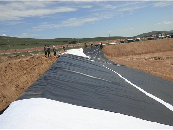 Hot Selling Durable LDPE LLDPE HDPE Smooth Surface Geomembrane Liner for Basement Waterproofing Foundation Protection