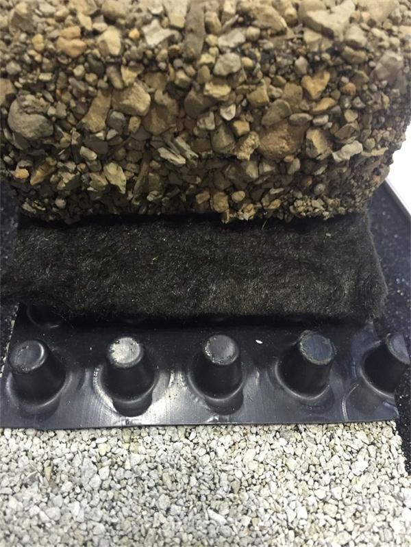 8mm 10mm 12mm HDPE Plastic Dimple Drainage Board Dimple Drain Board for Roof