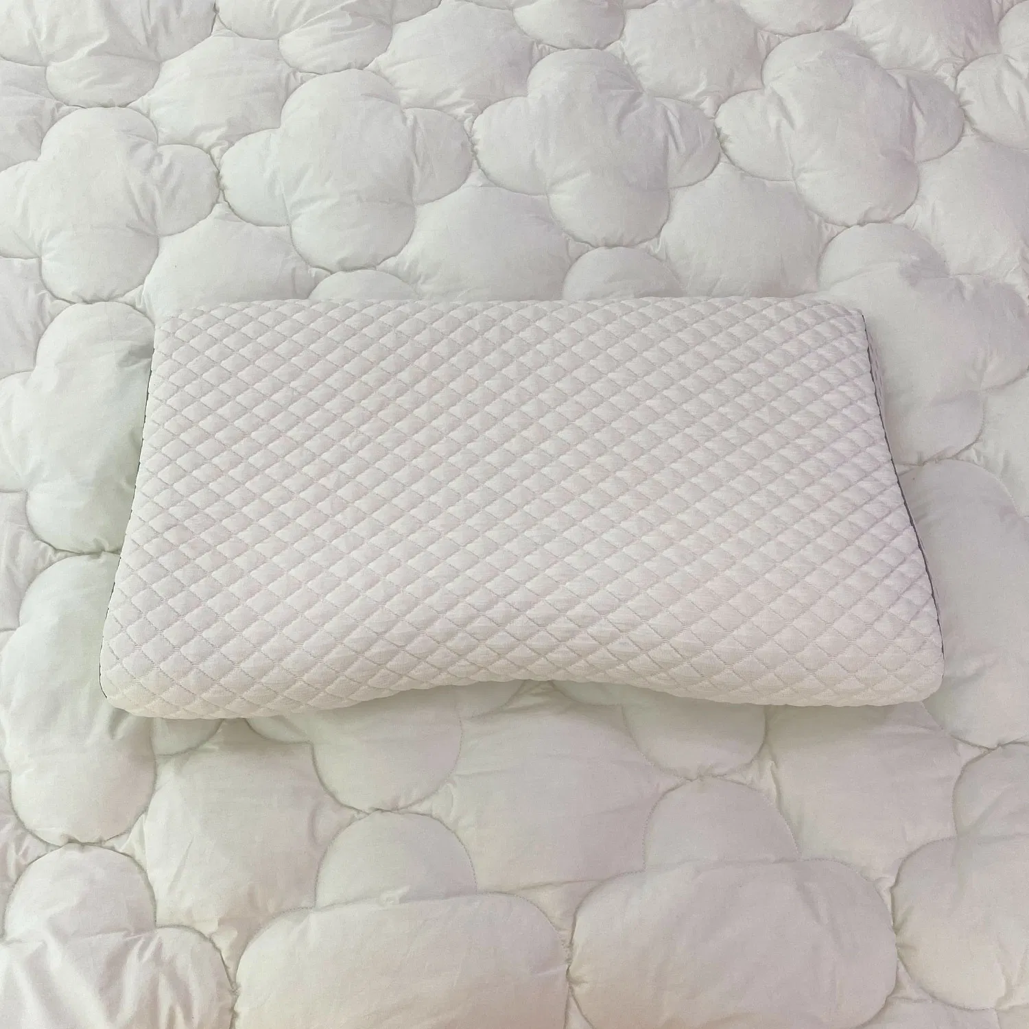 Customized Bedding White Bed Insert Latex Memory Travel Massage Good Smell Hotel Pillow