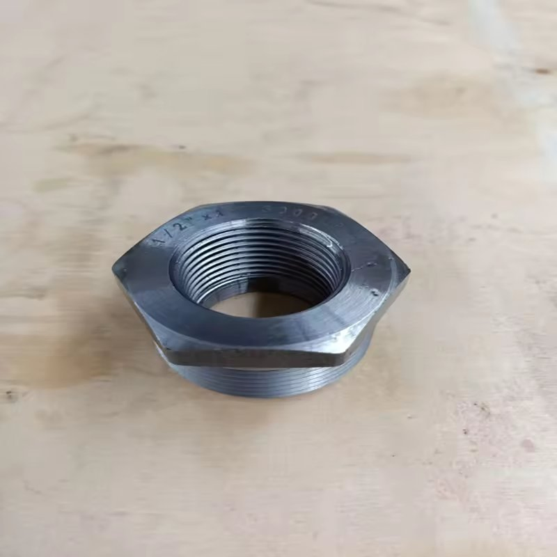 High-Quality ASTM A105 Forged Carbon Steel Pipe Plug for Hydraulics