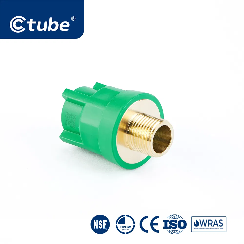 Ctube Durable PPR Male Reducer Couplings for Secure and Leak-Proof Transitions