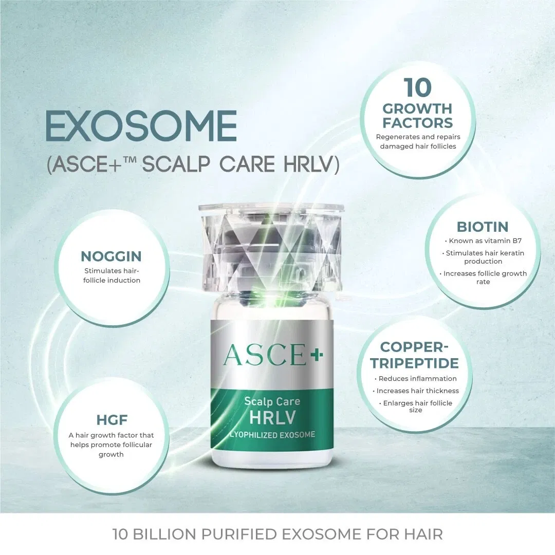 2024 Cheap Buy Exosome Asce+ Hrlv for Scalp Rejuvenation and Hair Loss Asce Scalp Hair Rejuvenation Exosome Hair Growth Hair Restoration