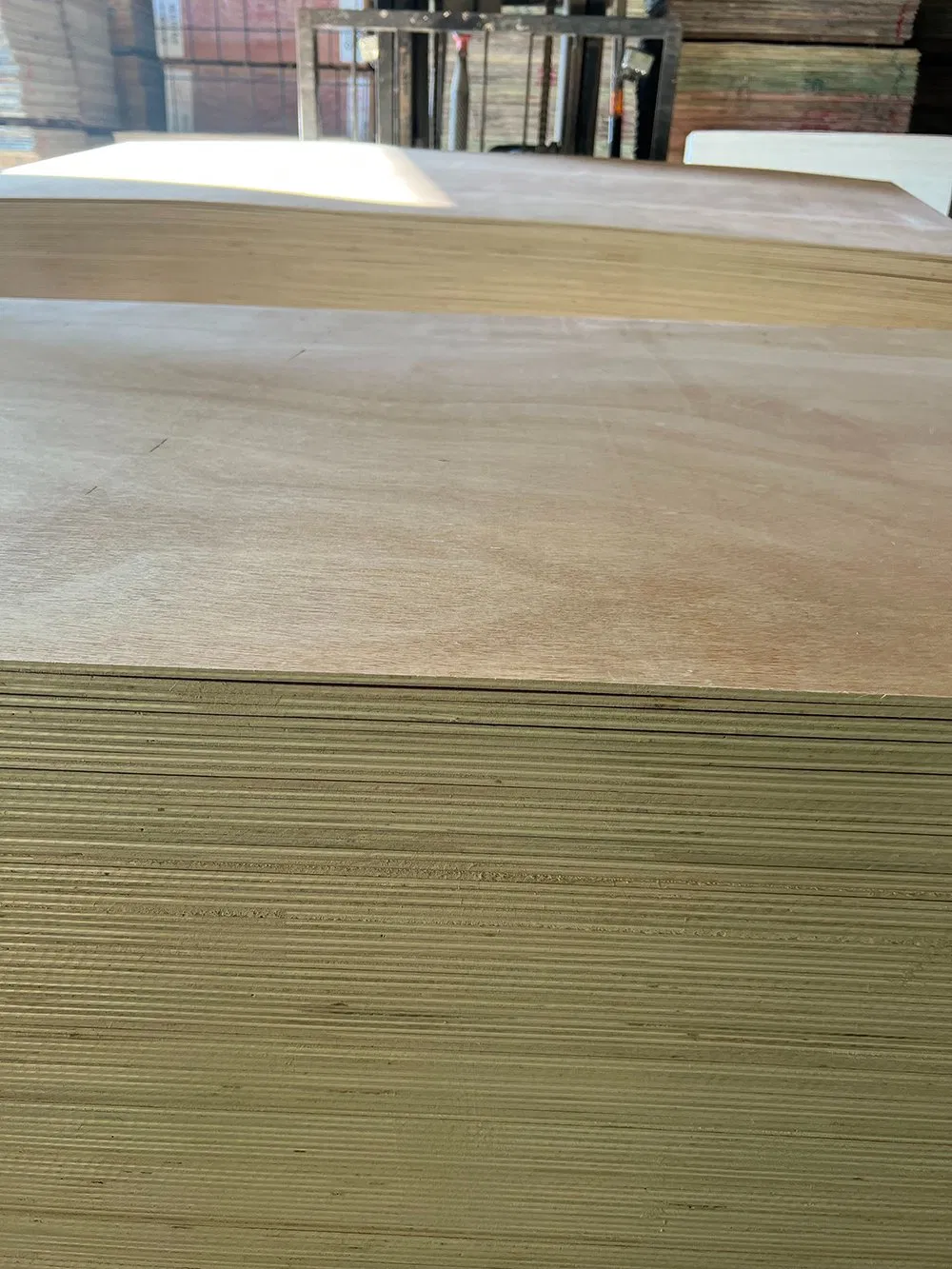 Bintangor Plywood/Okoume Plywood/Red Hardwood Plywood with Competitive Price
