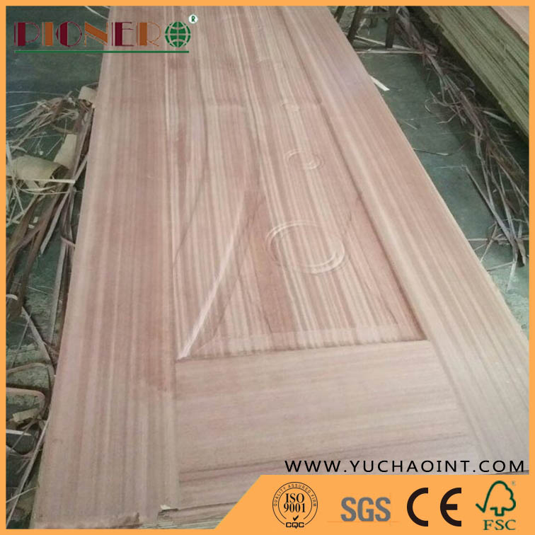 Wood Veneer/ Melamine Paper Moulded MDF/Plywood Door Skin