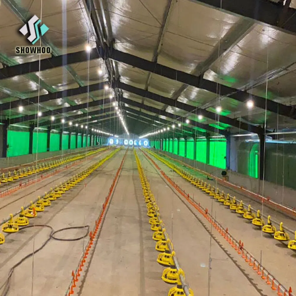 Professional Cheap Layer House Farm/Broiler Chicken House with Equipment Supplier in China Listed Company