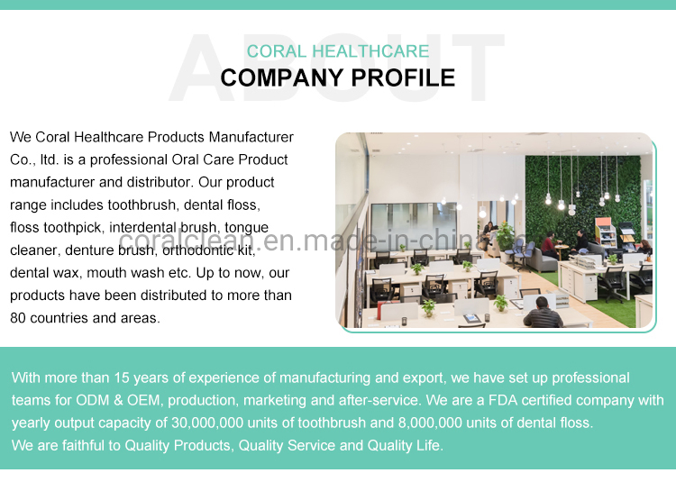 Manufacturer Hot Sale Soft Bristles Adult Toothbrush Handle Printed with Cartoon Picture