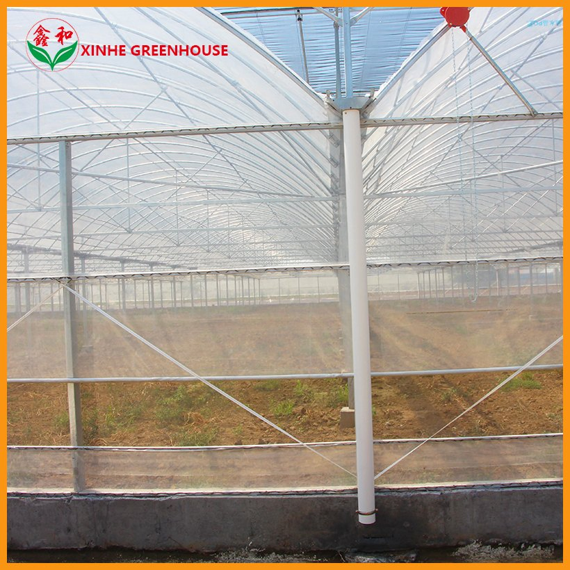 PE 150mic Tunnel Plastic Agricultural Multi Span Film Greenhouses with Shading System
