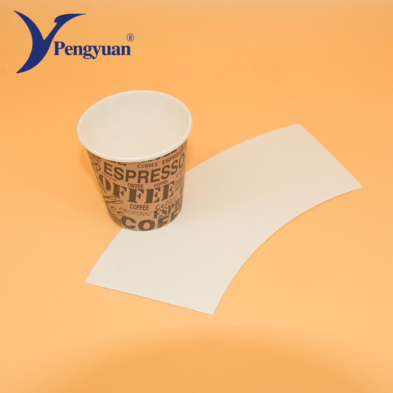 Design Printing Carton Packaging Paper Cup Fan