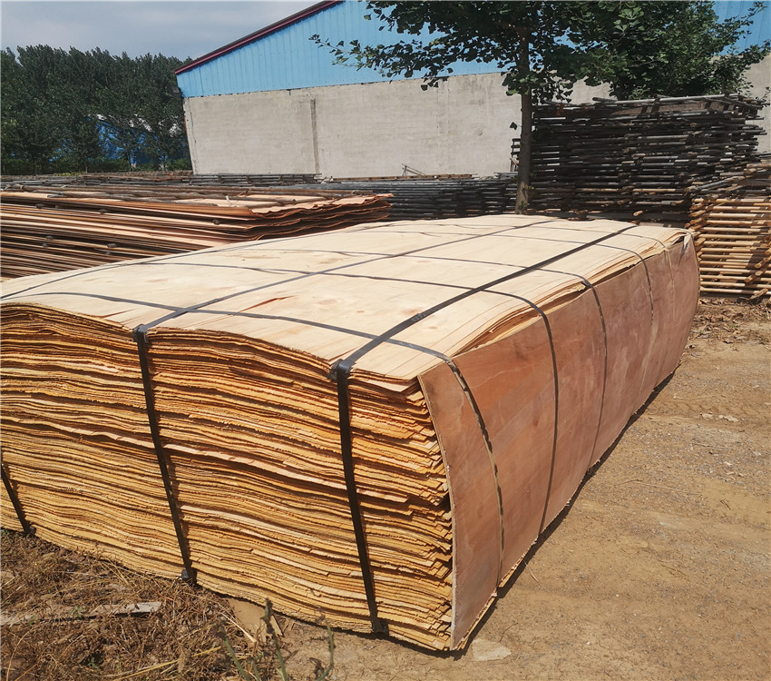 Natural Rotary Cut 2.2mm Thickness Pine Veneer for Plywood