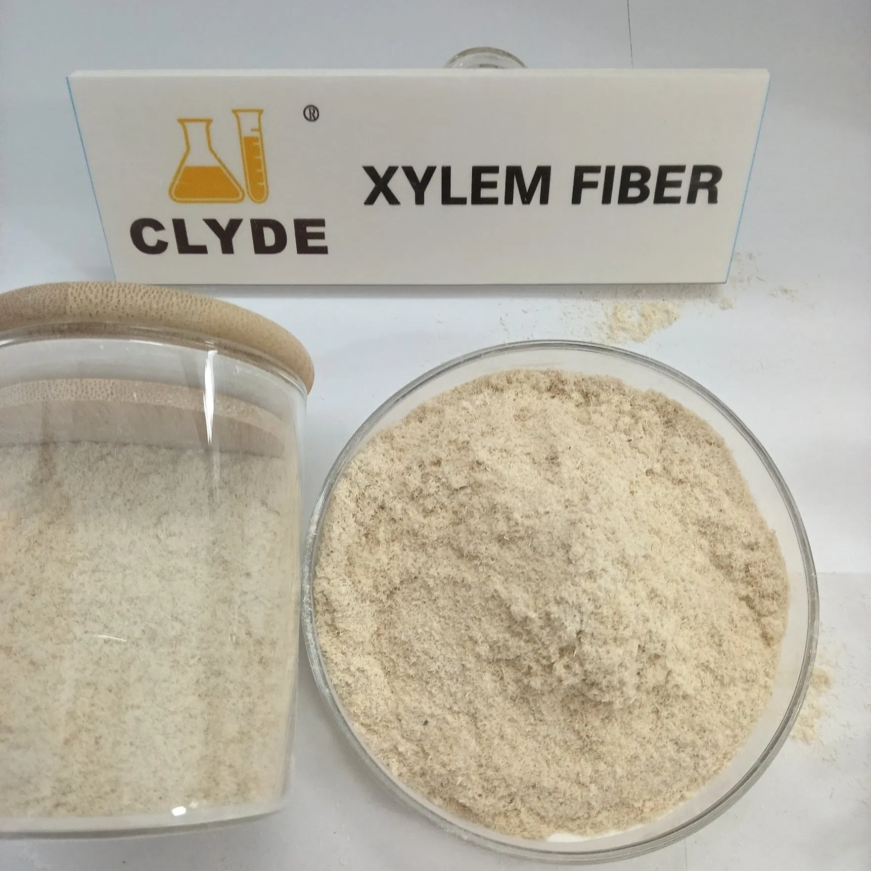 High-Quality Wood Cellulose Fiber Xylem Fiber