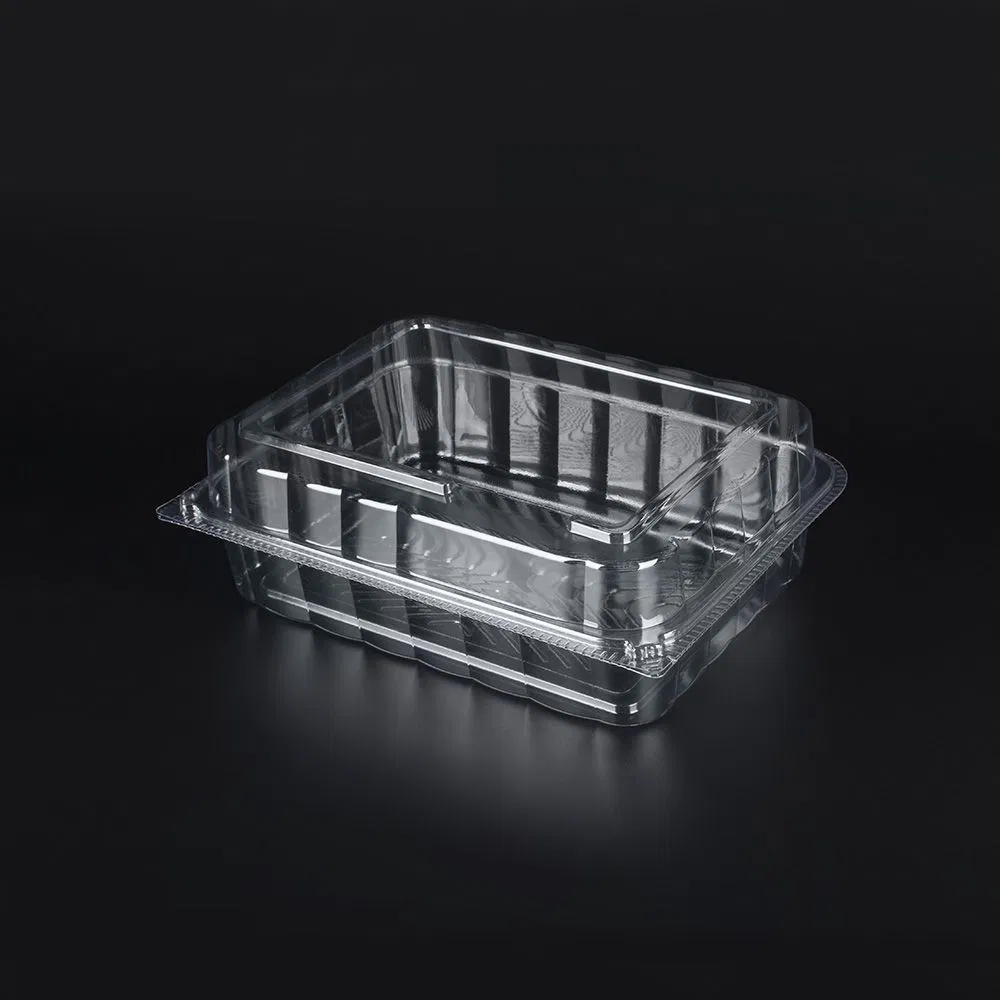 Wholesale Anti-Fog Lid & Ventilated Fruit Box Pet Clamshell Container for Fresh Fruit Packaging