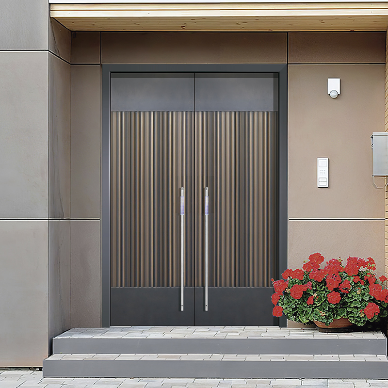 Durable Soundproof Entrance Doors with Fireproof Glass Design