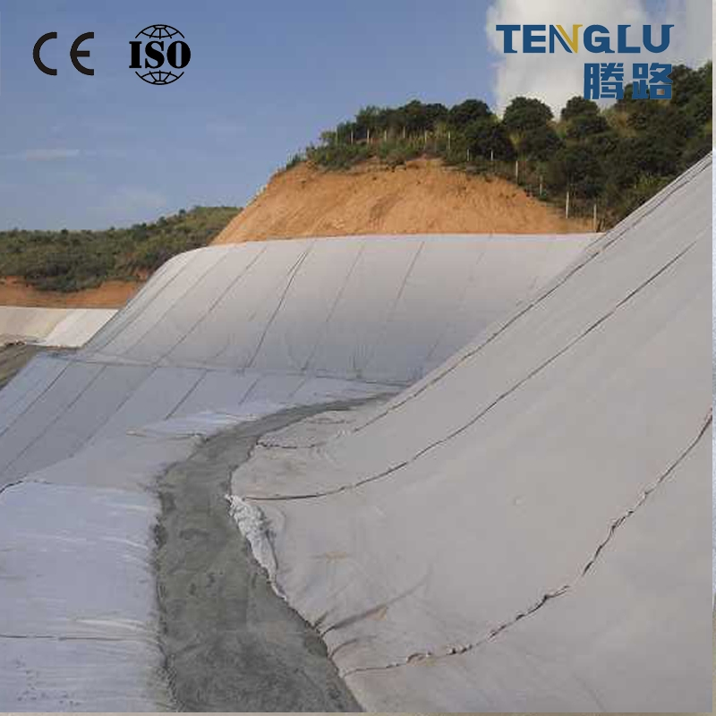 Geotextile Drainage for Isolation and Protection 4m X 100m for Agricultural Drainage, Green Roof Systems and Landscape Architecture