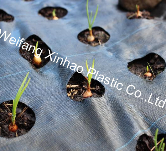 100g 3.5oz Weed Mat with Holes