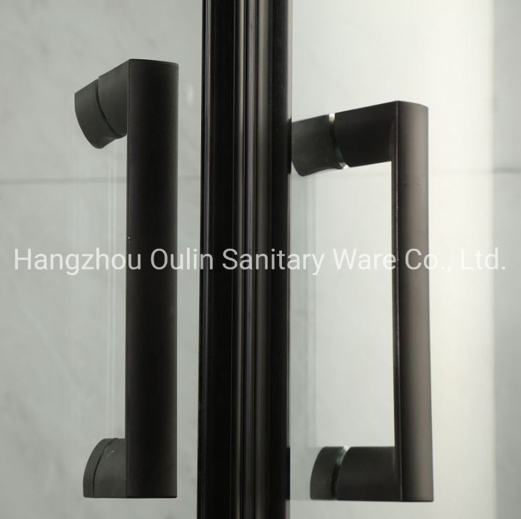 Matt Black Finished Square Partition with Two Sliding Doors + Two Fixed Doors