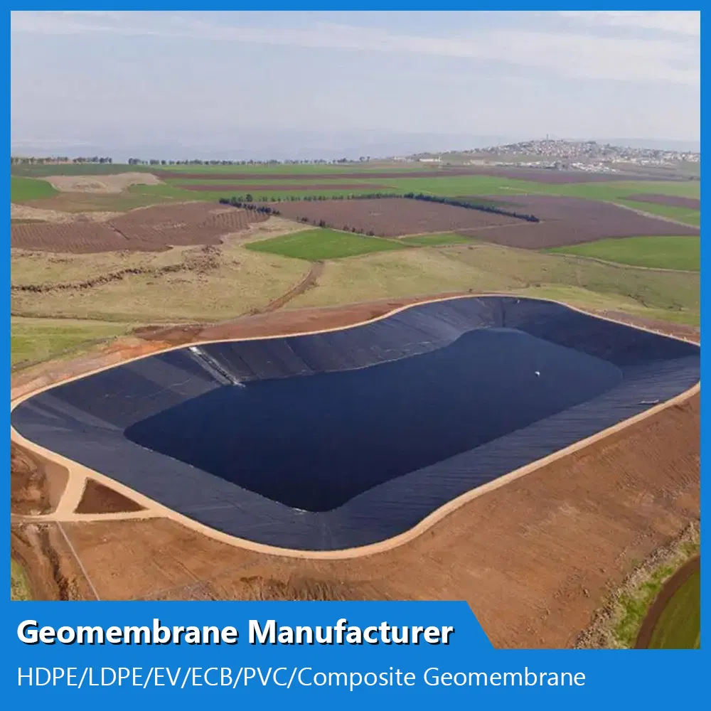 Customized ASTM Anti-Seepage Waterproof Impermeable Smooth Textured HDPE/LDPE/PE/EV/Ecb/PVC Textured/Composite Geomembrane Manufacturer