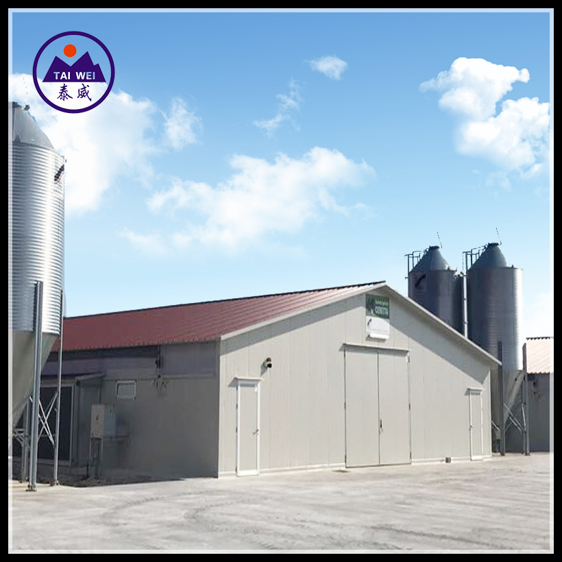 Prefabricated / Prefab Steel Structure Material/Warehouse / Workshop / Construction Building for Chicken House and Egg Layer Poultry Farm (TW1082J)