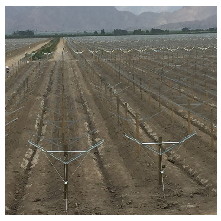 High-Quality Galvanized Steel Grape Vineyard Trellis Post System Kit