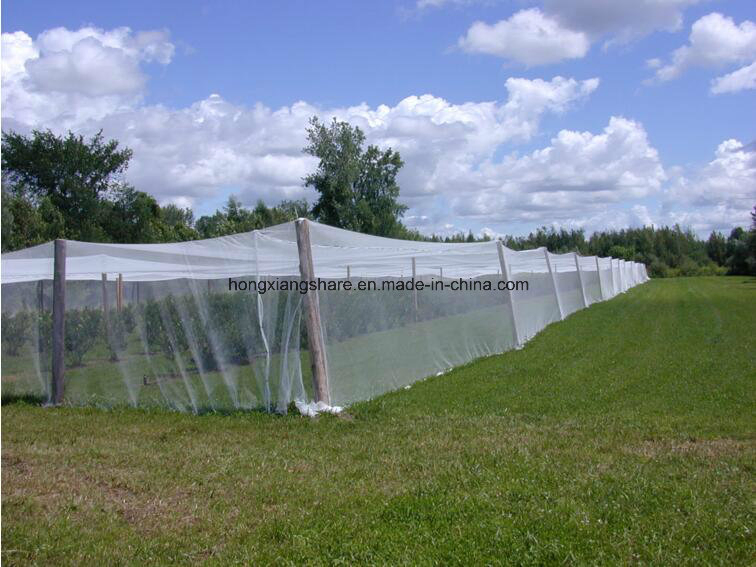 Greenhouse Netting Anti Fly Insect Net for Vegetable Gardens