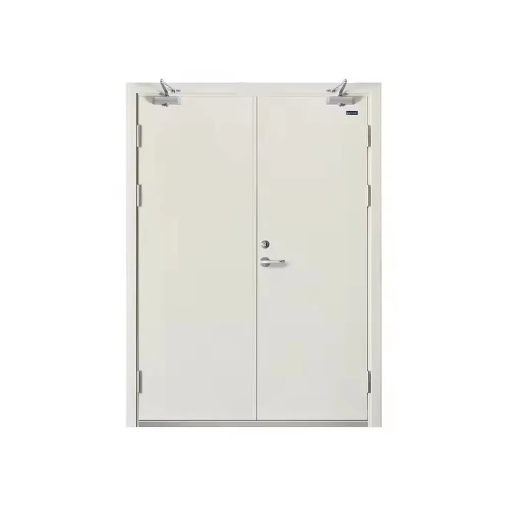 Flame Retardant Door Fire Rated Doors for Hospital Industrial Fireproof Sliding Doors