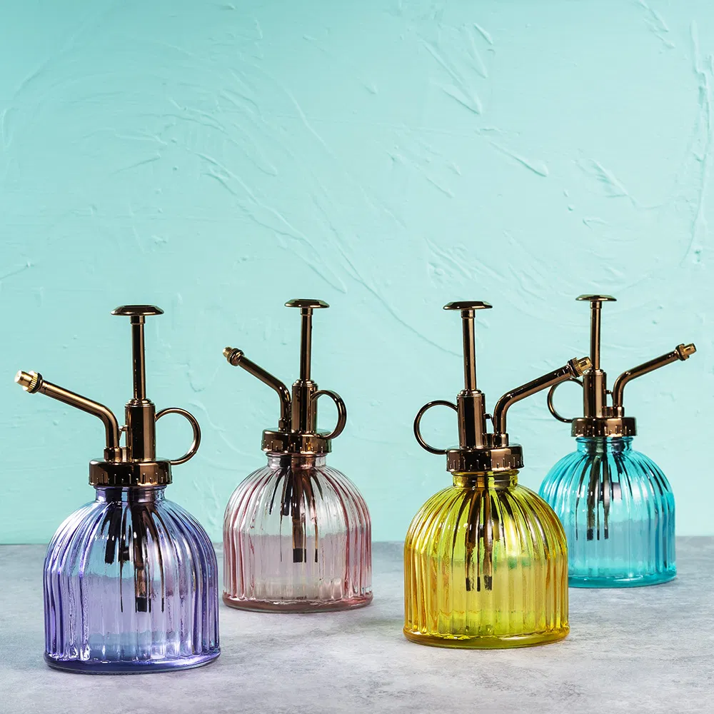 Small Glass Watering Can 200ml Spray Bottle Glass Plant Mister with Plastic Top Pump for Indoor Potted Plants