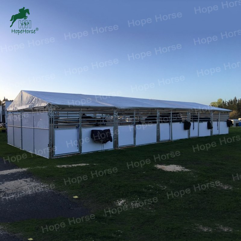 Horse Products Offering Superior Quality Horse Stable for Farm with Swing Door
