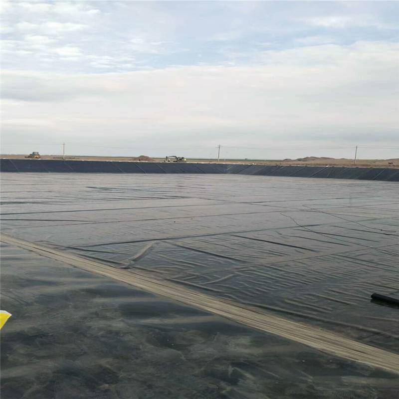 Geomembrane HDPE Liner Textured HDPE Geomembrane Composite Geomembrane Liner HDPE Liner Pond Liner Geomembrane