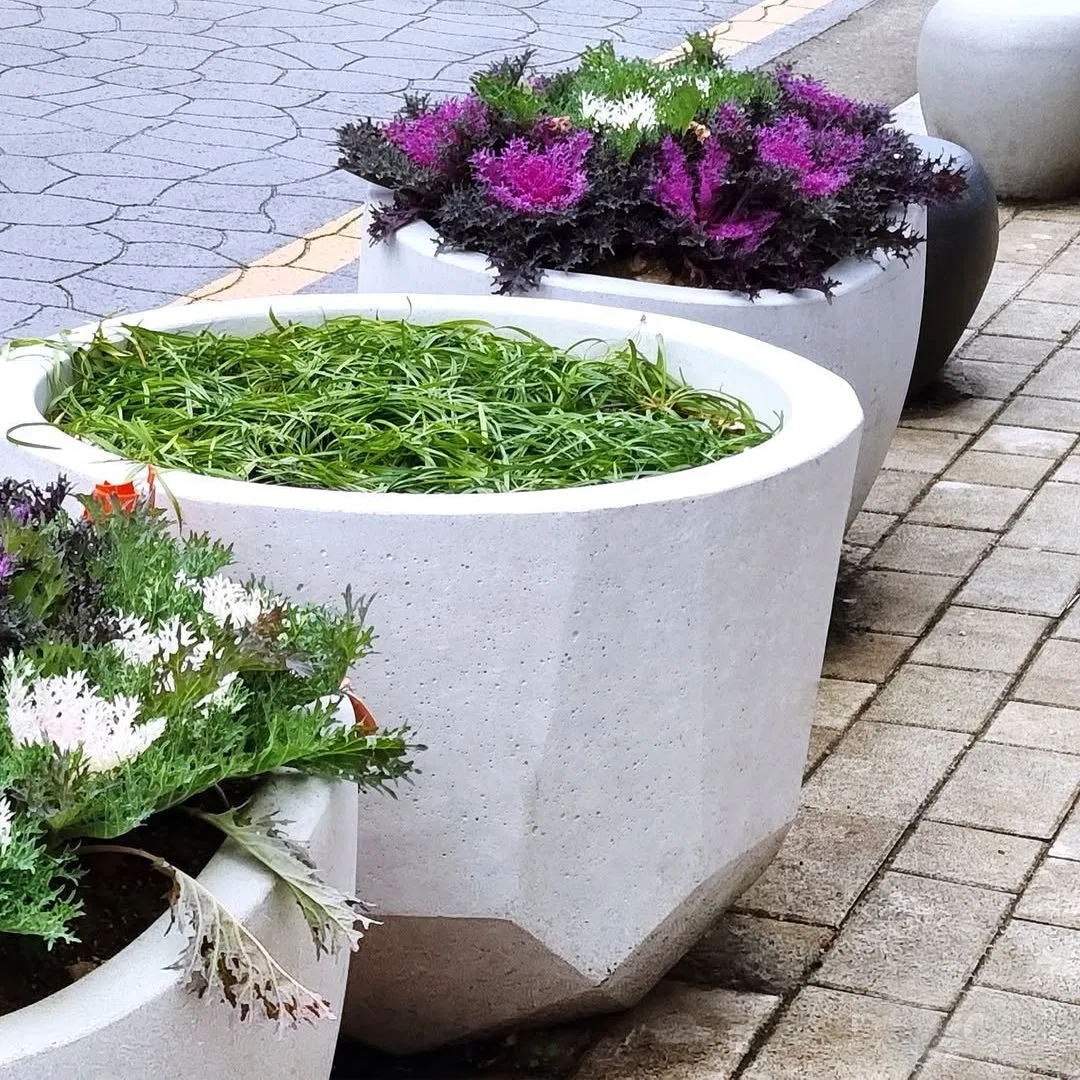 Modern Minimalist Concrete Flower Pots - Preferred Containers for Outdoor Greenery