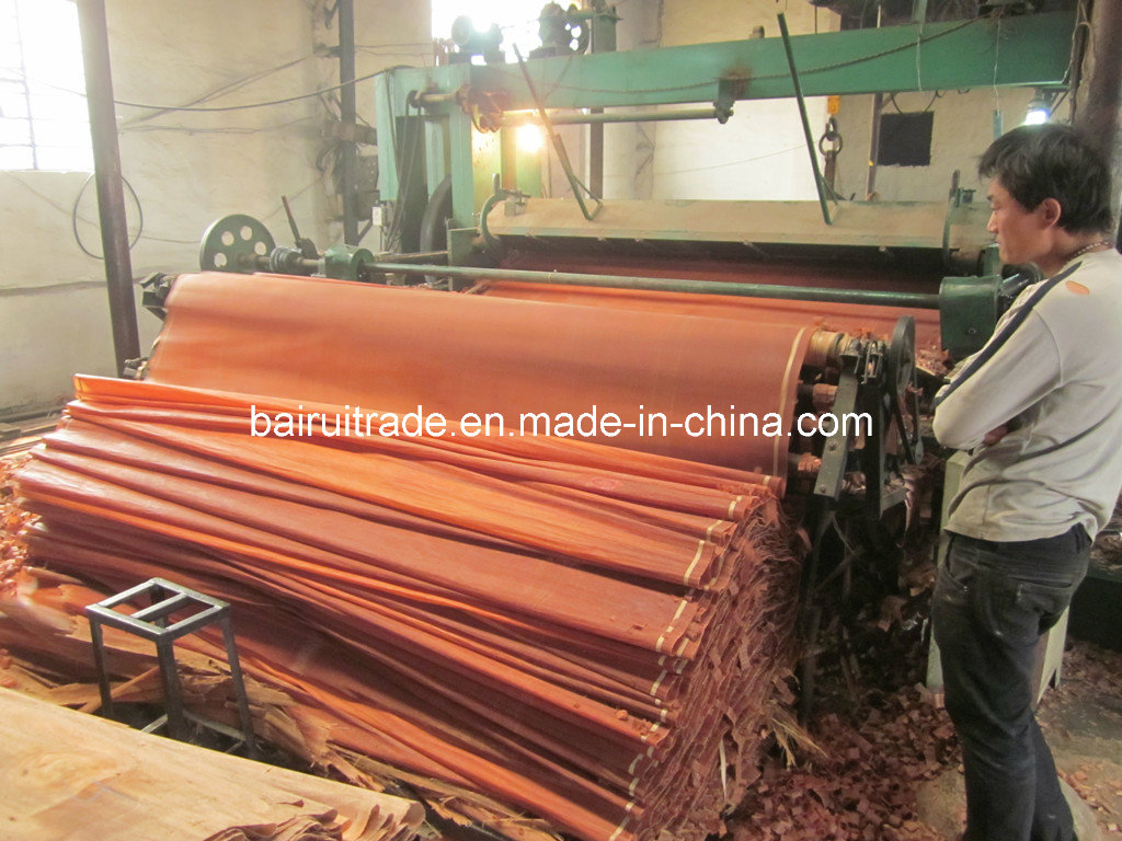 0.3mm Rotary Cut Wood Veneer for Making Plywood