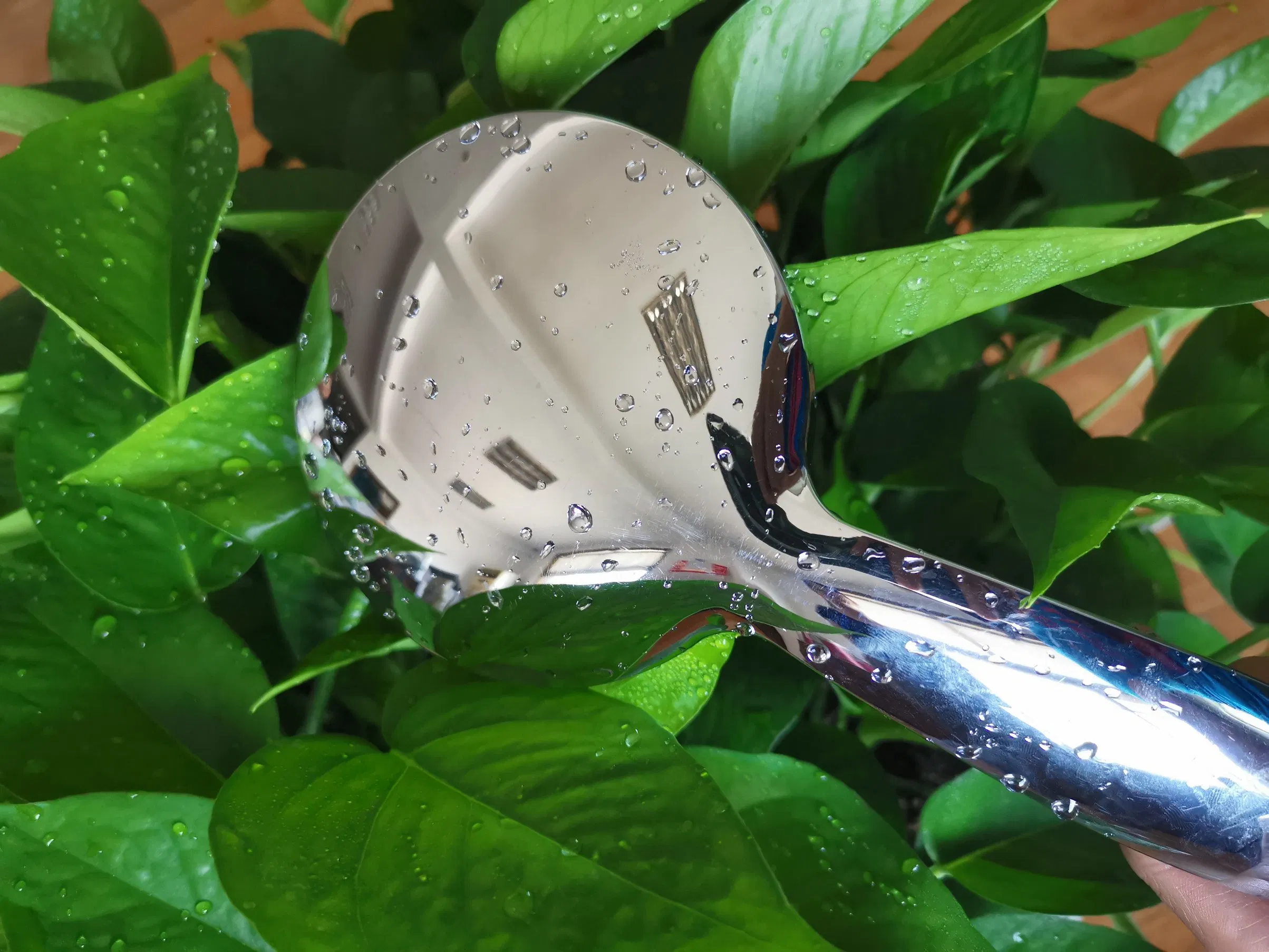 Water-Saving 3 -Mode Chromed ABS Bathroom Hand Shower