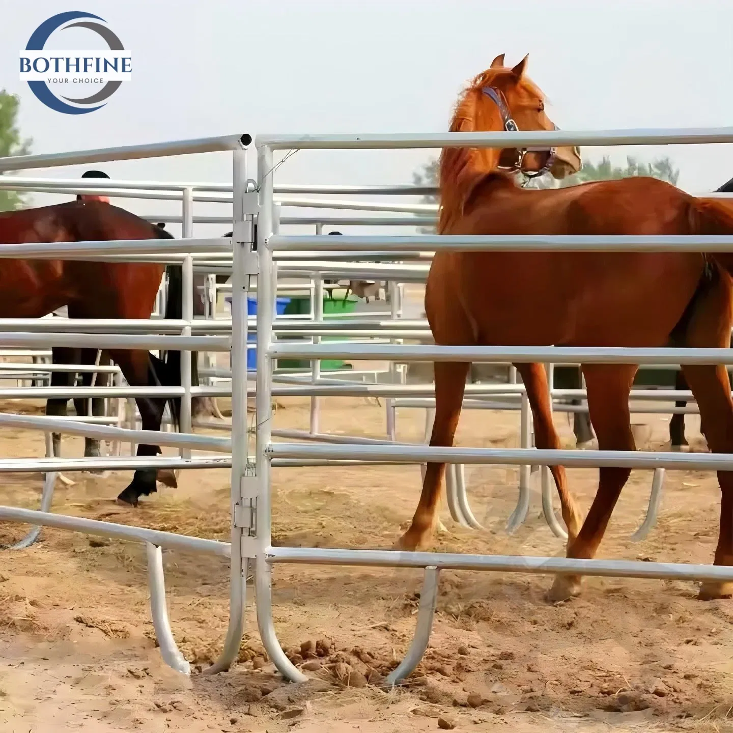 Wholesale Galvanized Cattle Panels Heavy Duty Farmland Corral Panel Livestock Horse Corral Panels to USA Market