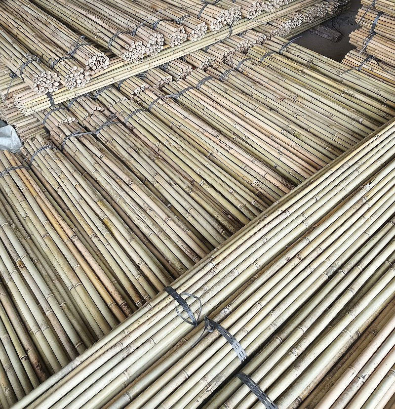 Best Bamboo Pole Supplier for DIY Projects
