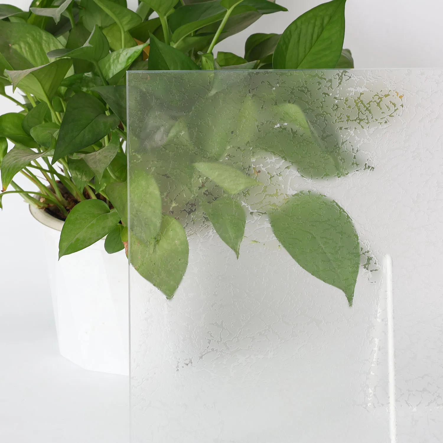 Stylish Bathroom Glass with Customized Acid-Teched Glass Solutions