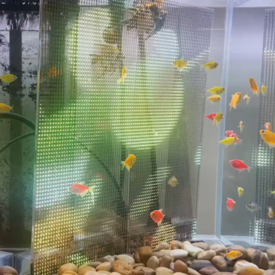 Гибкая прозрачная LED-пленка для подводного видеоэкрана