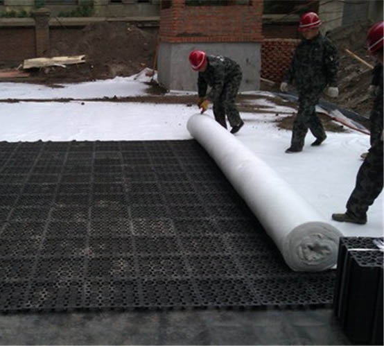 150g 200g 300g 400g 500g PP/Pet Polyester Woven/Nonwoven Geotextile Price