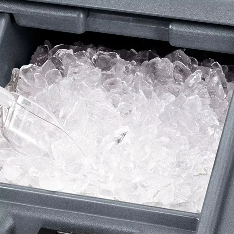 OEM/ODM Supported Commercial Hotel & Restaurant Equipment 110L Insulated Ice Caddy in Food-Grade PE